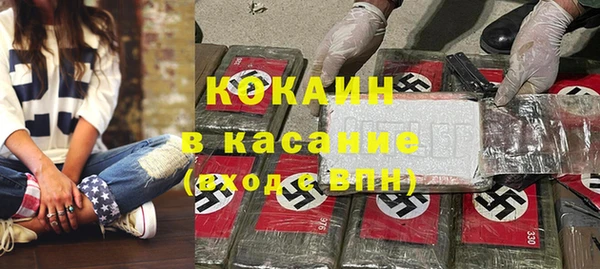 прущие грибы Медногорск