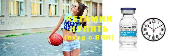 прущие грибы Медногорск