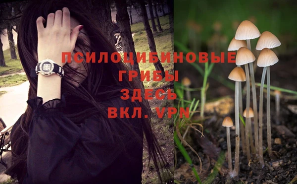 дмт Михайлов