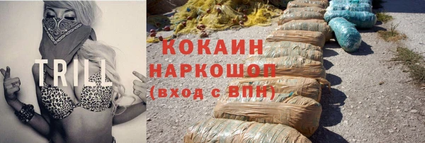 прущие грибы Медногорск