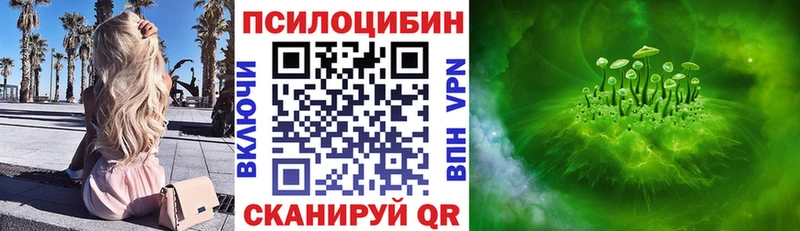 MEGA ТОР  где найти наркотики  Астрахань  Галлюциногенные грибы Psilocybine cubensis 