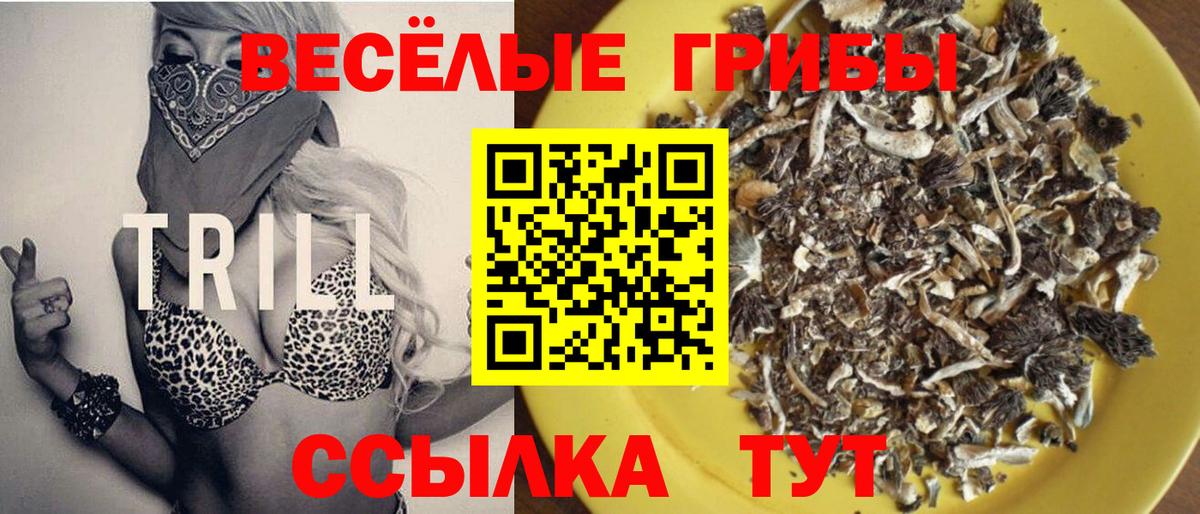 Псилоцибиновые грибы прущие грибы  Галлюциногенные грибы прущие грибы  Астрахань  Вход с VPN 
