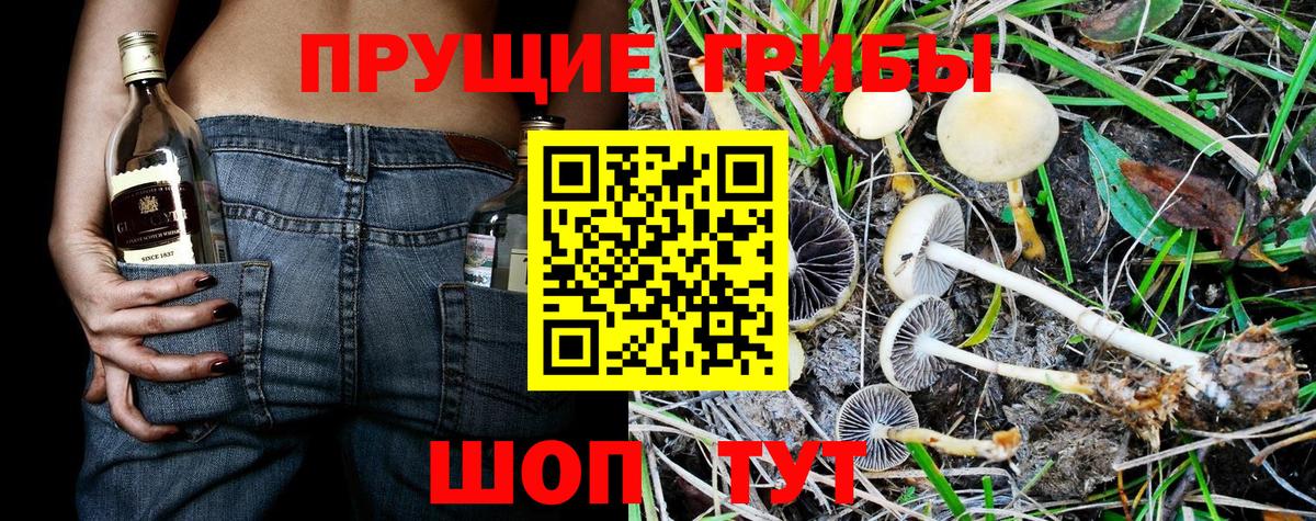 АМФЕТАМИН  Вход с VPN  Астрахань  LSD-25  Бошки Шишки  Плюхи  КОКАИН  МАРИХУАНА  Мефедрон  CBD масло 